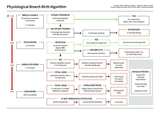 Breech Birth Algorithm.pdf